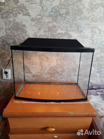 Аквариум