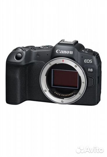 Фотоаппарат canon eos r8 body