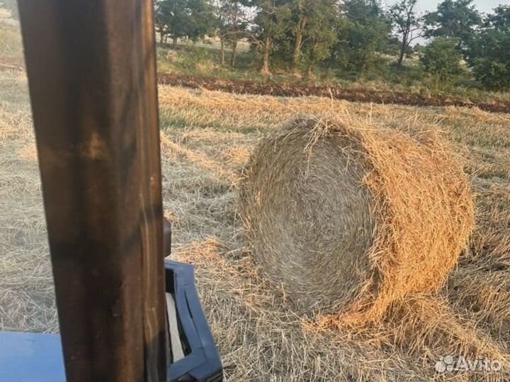 Пшеничная солома