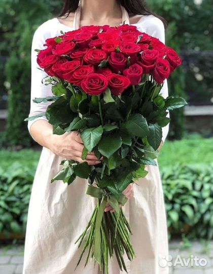 Розы высокие 150 160 170 180 190 200см