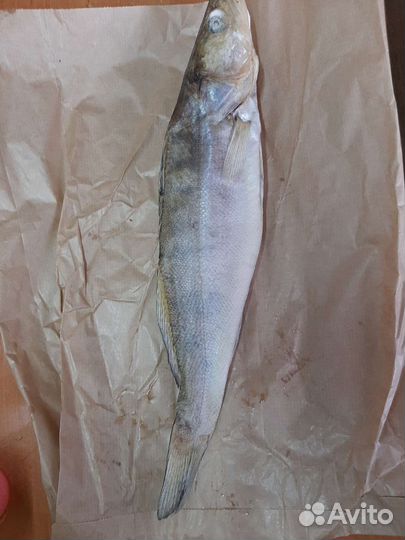 Копченая и вяленая рыба