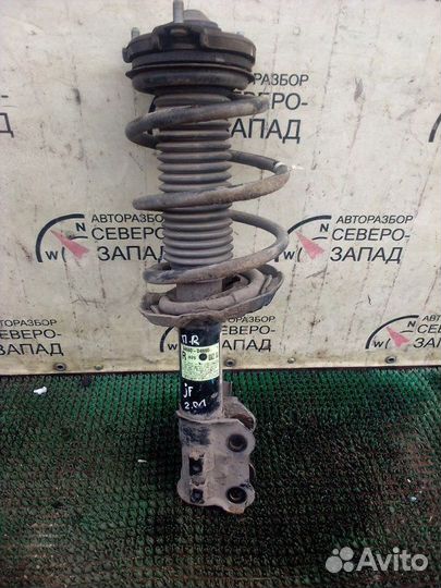 Амортизатор передний правый Kia Optima JF G4ND