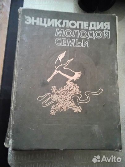Энциклопедия молодой семьи