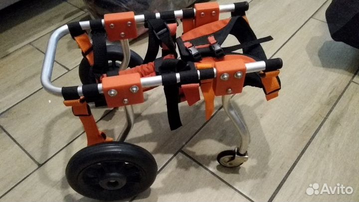 Коляска для животных с ограниченными возможностями