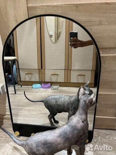 Зеркало декоративное Chic с крючками,51x71 см