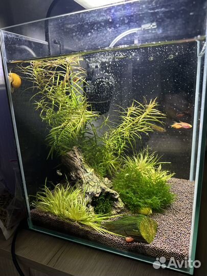 Аквариум Aquael 20 литров