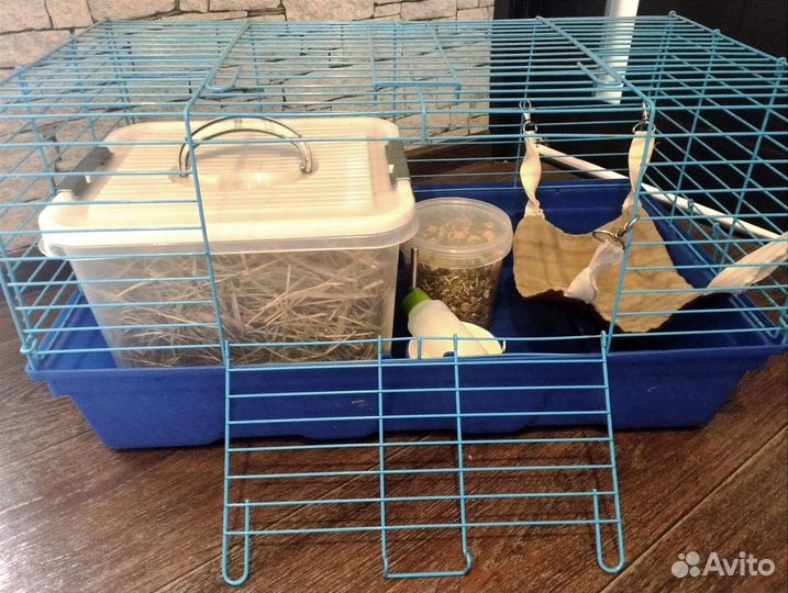 Клетка для морской свинки