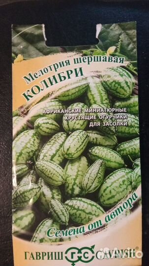 Семена мелотрии Колибри арбузный огурец. 20 семян