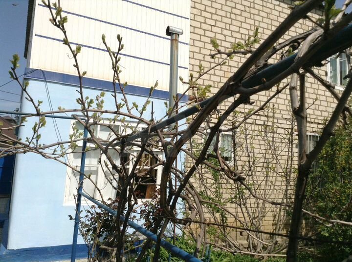 Дом 160 м² на участке 7 сот.