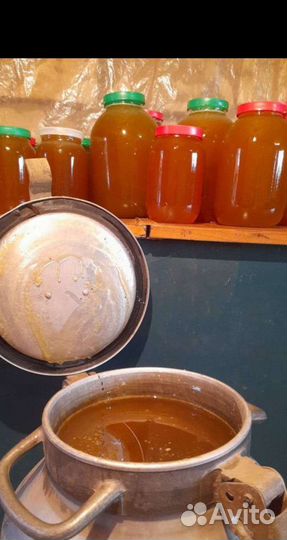 Картофель свежий с собственного участка