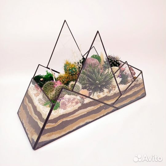 Флорариум “Горы с кактусами” 30х20см