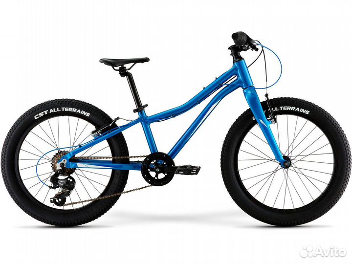 Детский велосипед Merida Matts J20+ Eco 2022