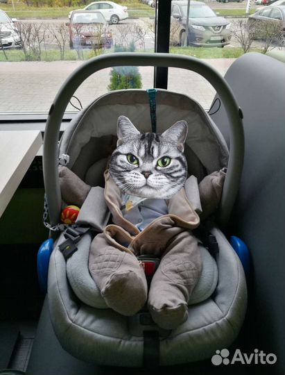 Коляска 3 в 1 Adamex Monte Carbon