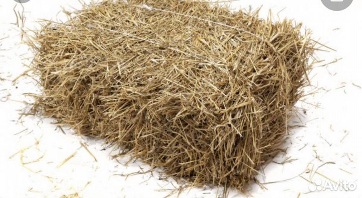 Сено
