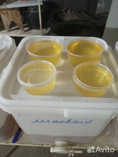 Натуральный алтайский мёд