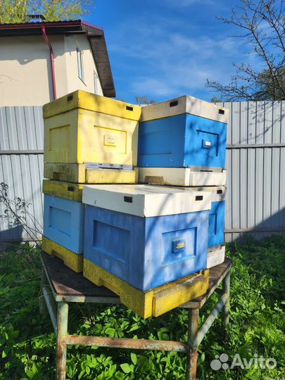 Улей для пчел бу