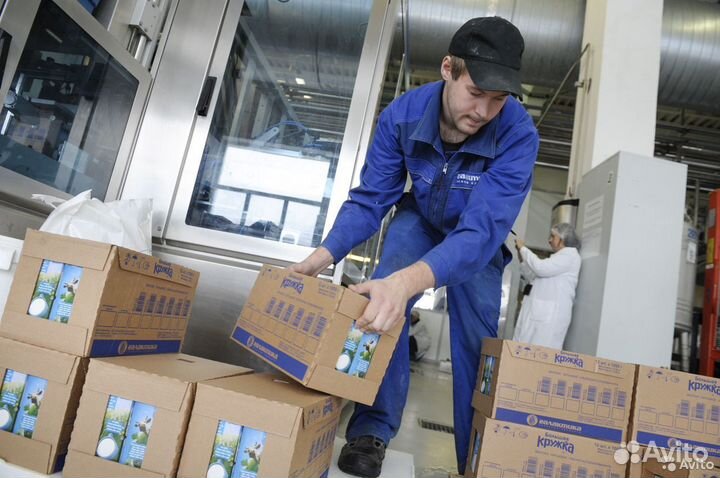 Грузчик на завод с зп каждый день