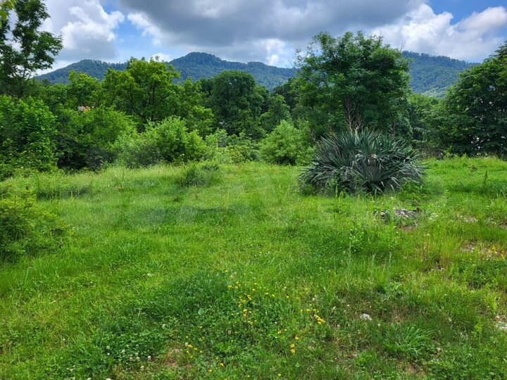 Участок 6 сот. (СНТ, ДНП)