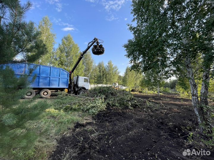 Спил и вывоз деревьев. Расчистка участков