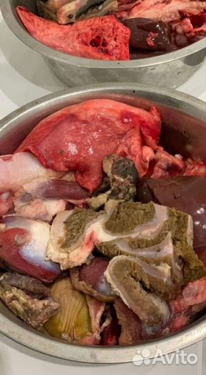 Мясо для собак Белгород