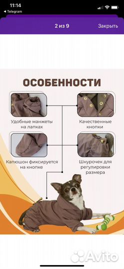 Одежда для маленьких собак