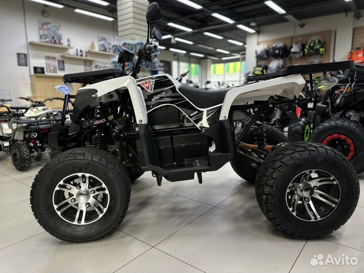 Квадроцикл Motax Grizlik E3000 R