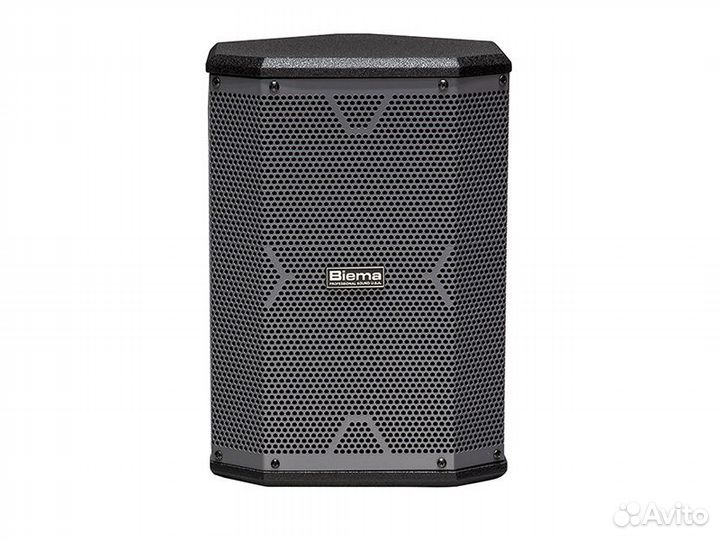 Активная переносная акустическая система Biema X-1
