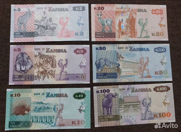 Банкноты Замбии (действующие)