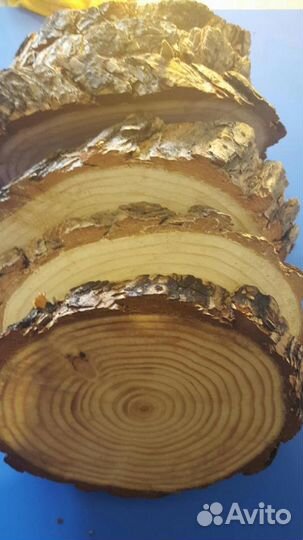 Спилы дерева, кора, ветки,пни