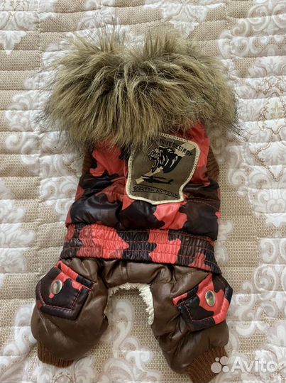 Одежда для маленьких собак