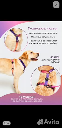 Шлейка для маленькой собаки