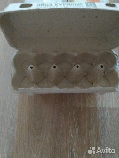 Контейнеры для яиц