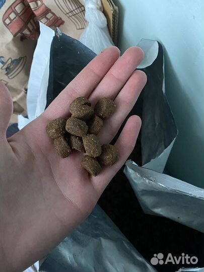 Корм clan classic Active-25/16