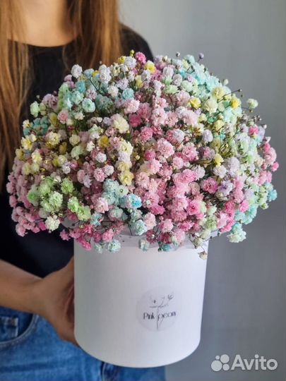 Гипсофила в коробочке. Цветы. Букет