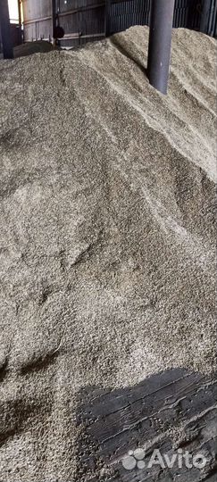 Зерно овес 1 репродукции сорт Яков