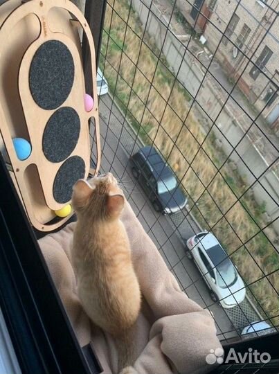 Решетки на окна антикошка