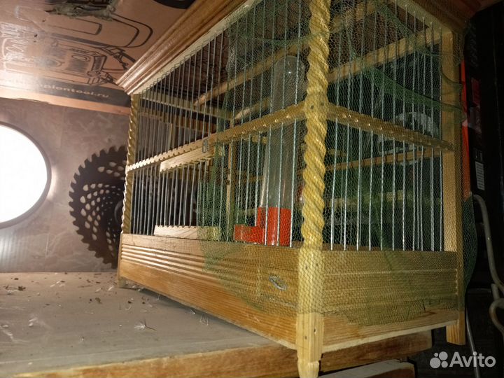 Большая клетка для птиц