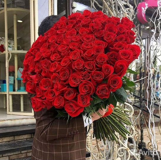 Розы гиганты 140 150 160 170 180 200