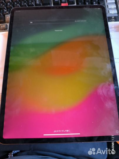 iPad Pro 12.9-inch Wi-Fi + Cellular