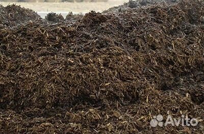 Навоз коровий