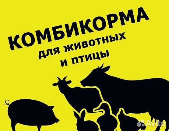 Корма для животных