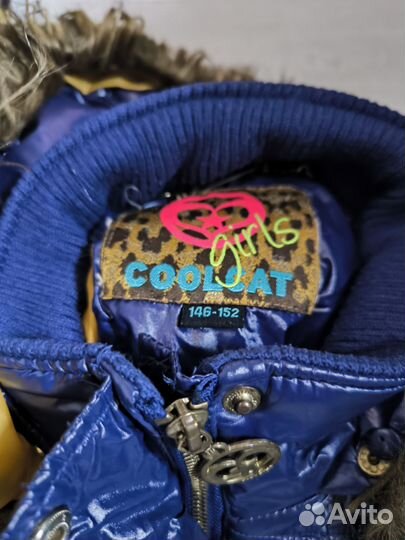 Зимняя куртка. coolcat для девочки р-146