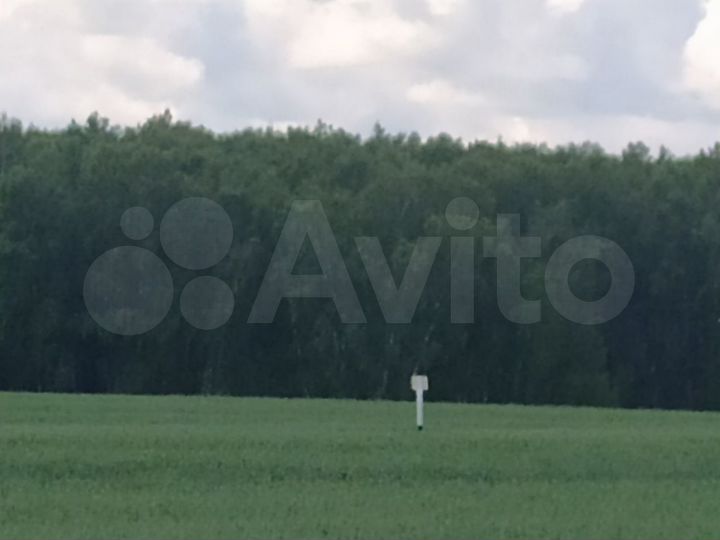 Участок 8,6 га (ИЖС)