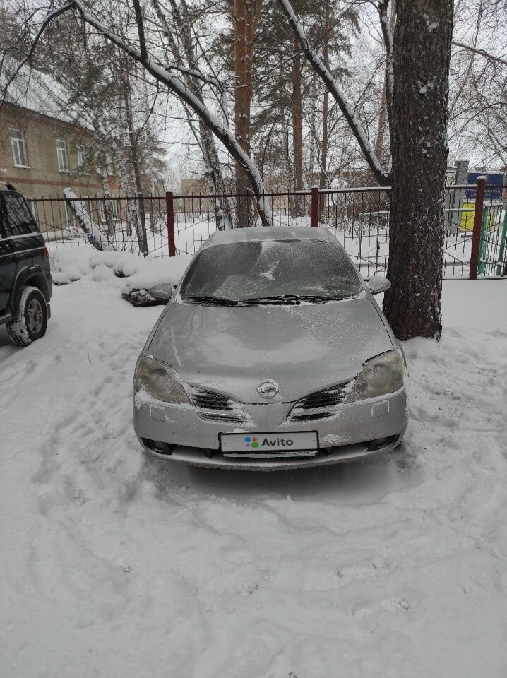 Nissan Primera: фото владельца