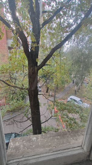 Комната 20 м² в 3-к., 3/5 эт.