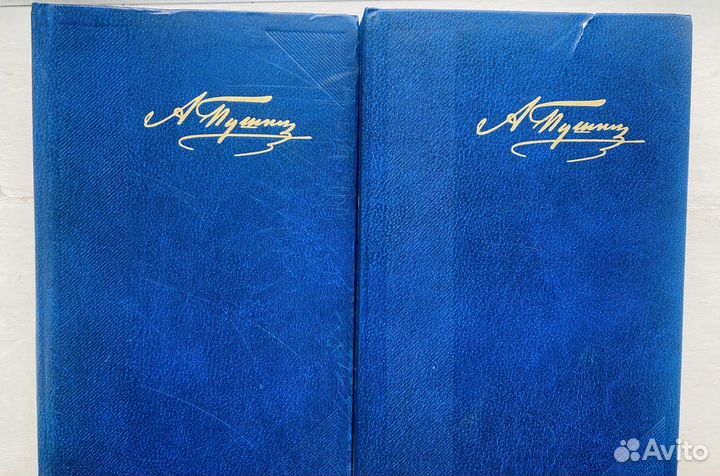 Пушкин 2 тома