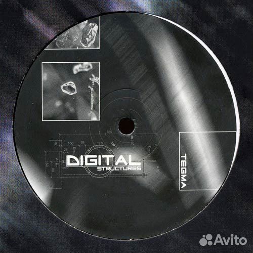 Tegma – Werewolf / What's Akabar