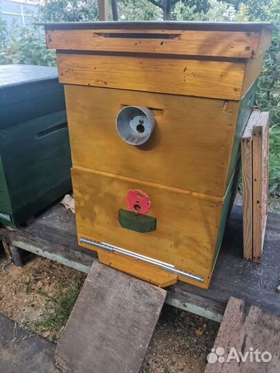 Пчелосемьи