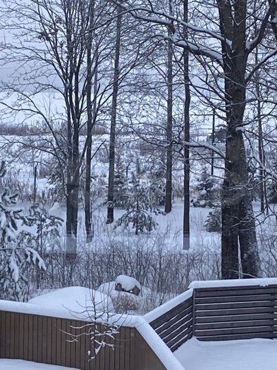 Участок 1,5 сот. (СНТ, ДНП)