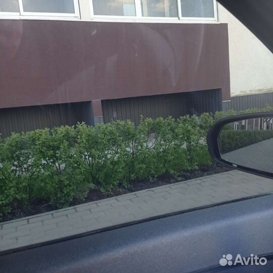 Съемная тонировка vesta